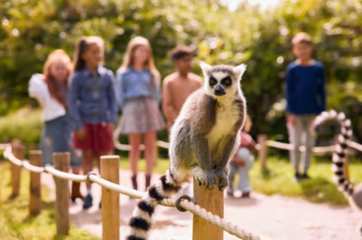 Entreeticket voor AquaZoo in Leeuwarden