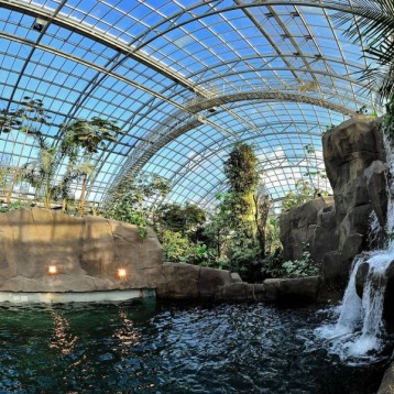 Visite du Parc Zoologique de Paris -2 Enfants- (3-12ans)