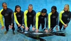 Enjoy one on one time with the sea lion for hugs and kisses.