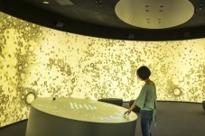Voyage sensoriel au cœur du champagne pour 2 - Marne (51)