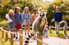 Entreeticket voor AquaZoo in Leeuwarden