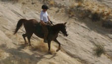 Desert Horse riding