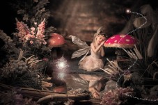 Sibling Fairy Photoshoot Experience