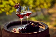 Barolo tasting at Josetta Saffirio