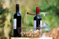 Tenuta Castelbuono-Carapace experience - winery tour and tasting