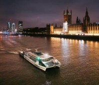 London Hop-On Hop-Off 1-Day River Sightseeing Adventure